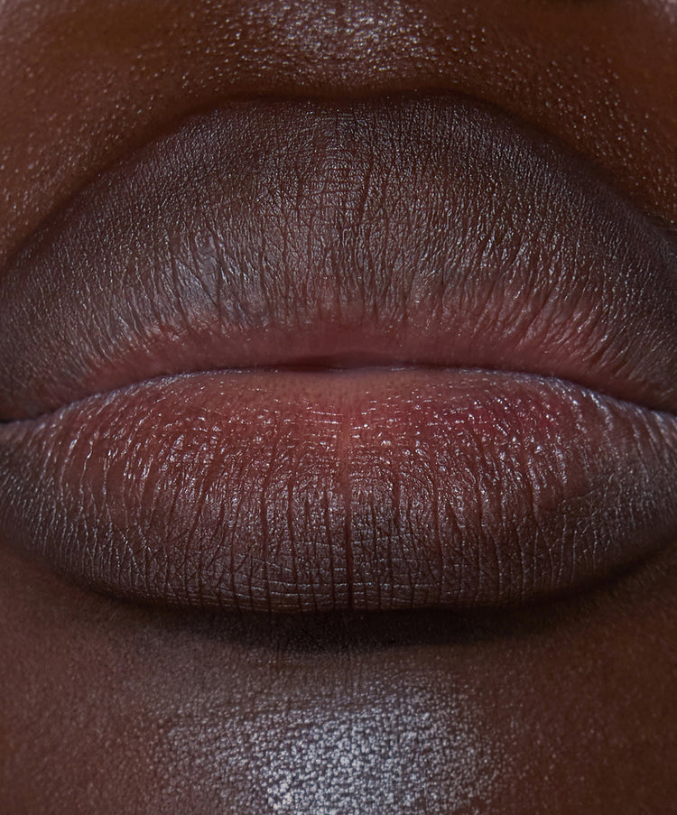 | desc: | text: light Lip Sculpt in shade Clove