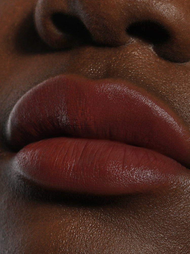 Lip Blush in shade Canyon
